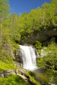 Looking Glass Falls Early Spring