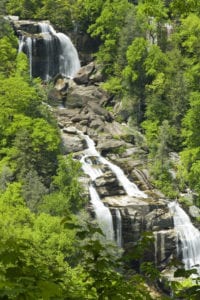 Whitewater Falls in the Spring