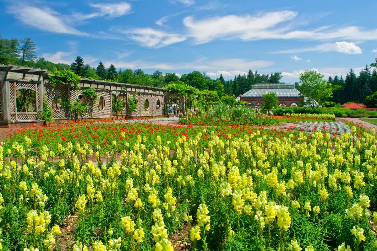 A Guide to the Biltmore Blooms