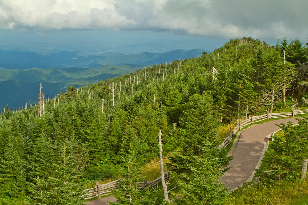 Visiting Mt. Mitchell State Park, NC