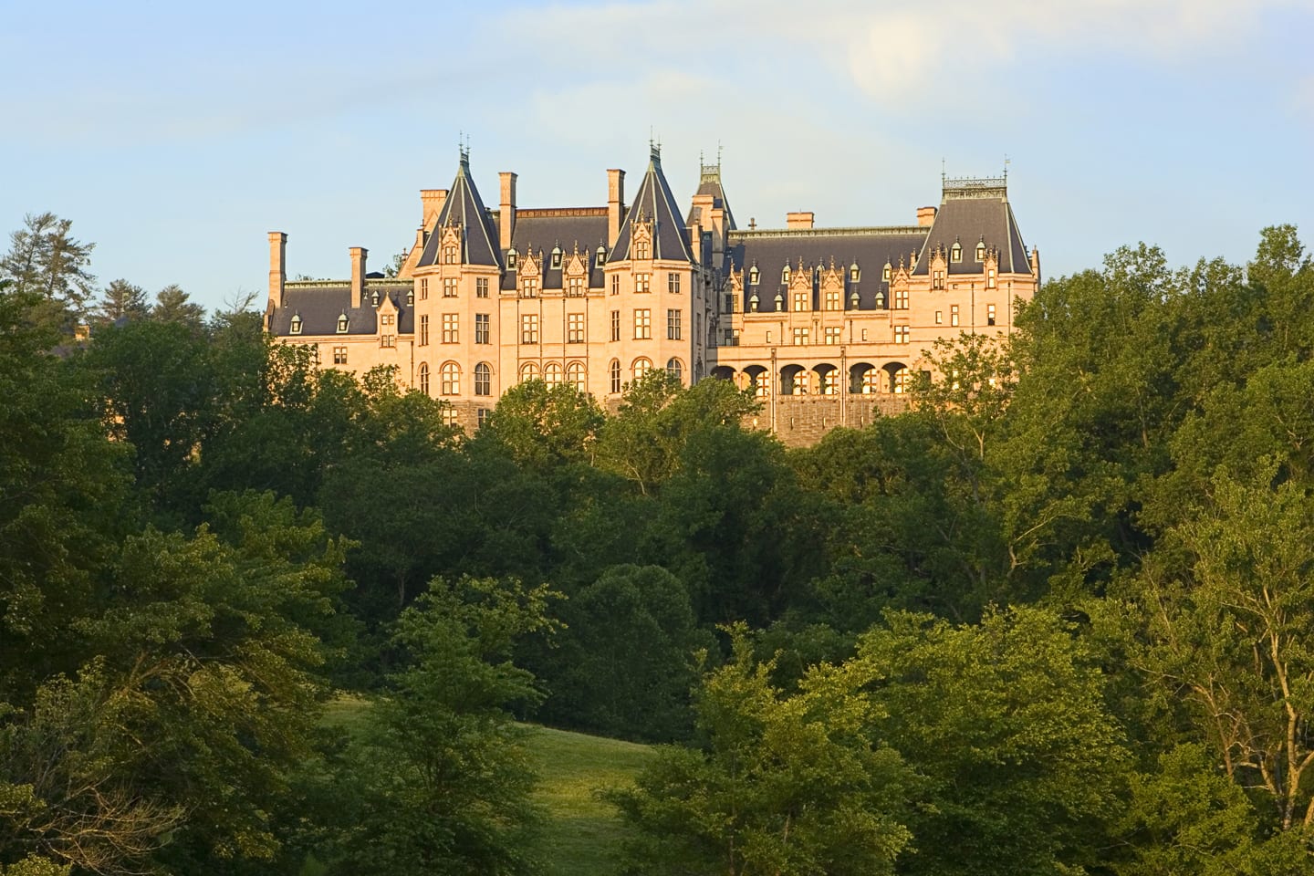 Biltmore House Back View