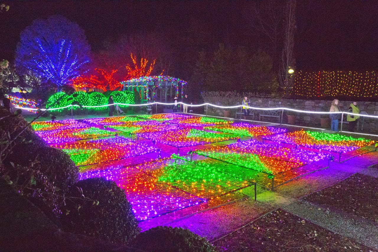 Winter Lights at The North Carolina Arboretum, Photo by Chris Cassels