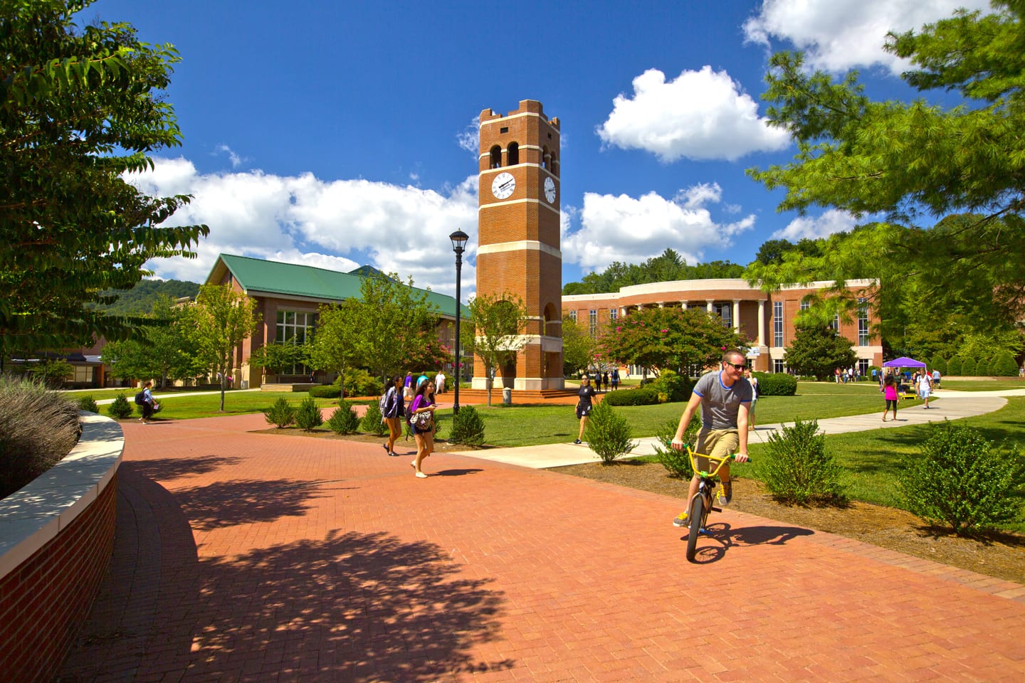 6 Best Colleges in North Carolina | Avalon
