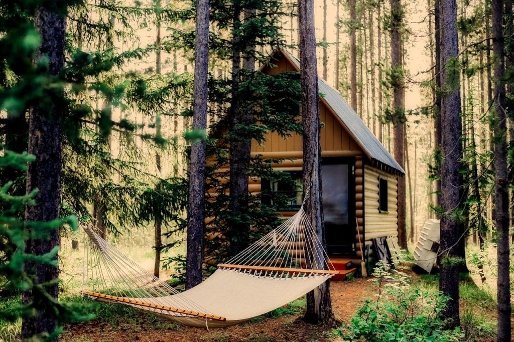 hammock in woods