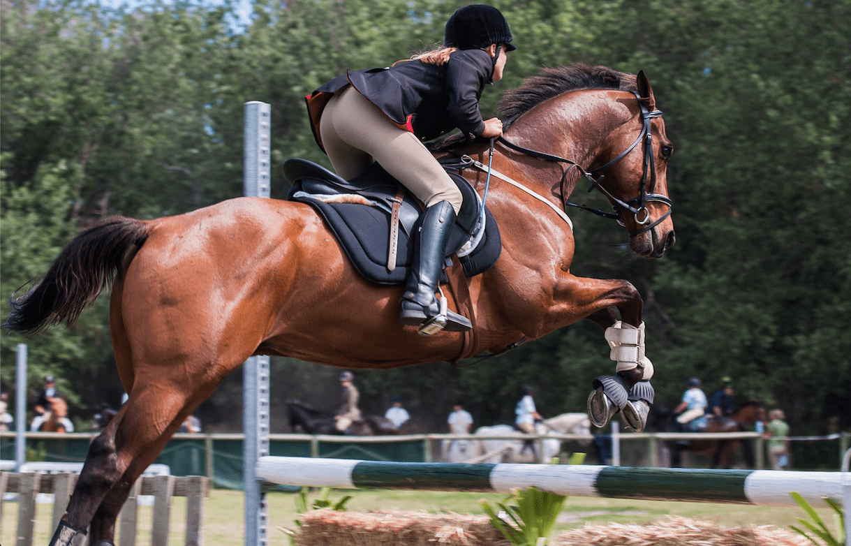 Visit Tryon Equestrian Center