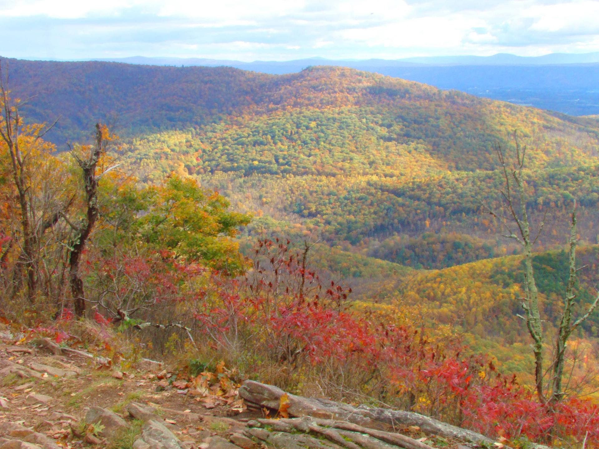 Locally Loved Winter Hikes