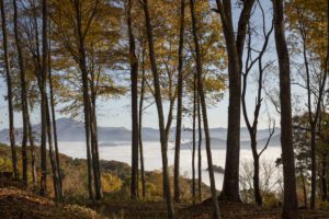 Fall NC mountain view at Avalon