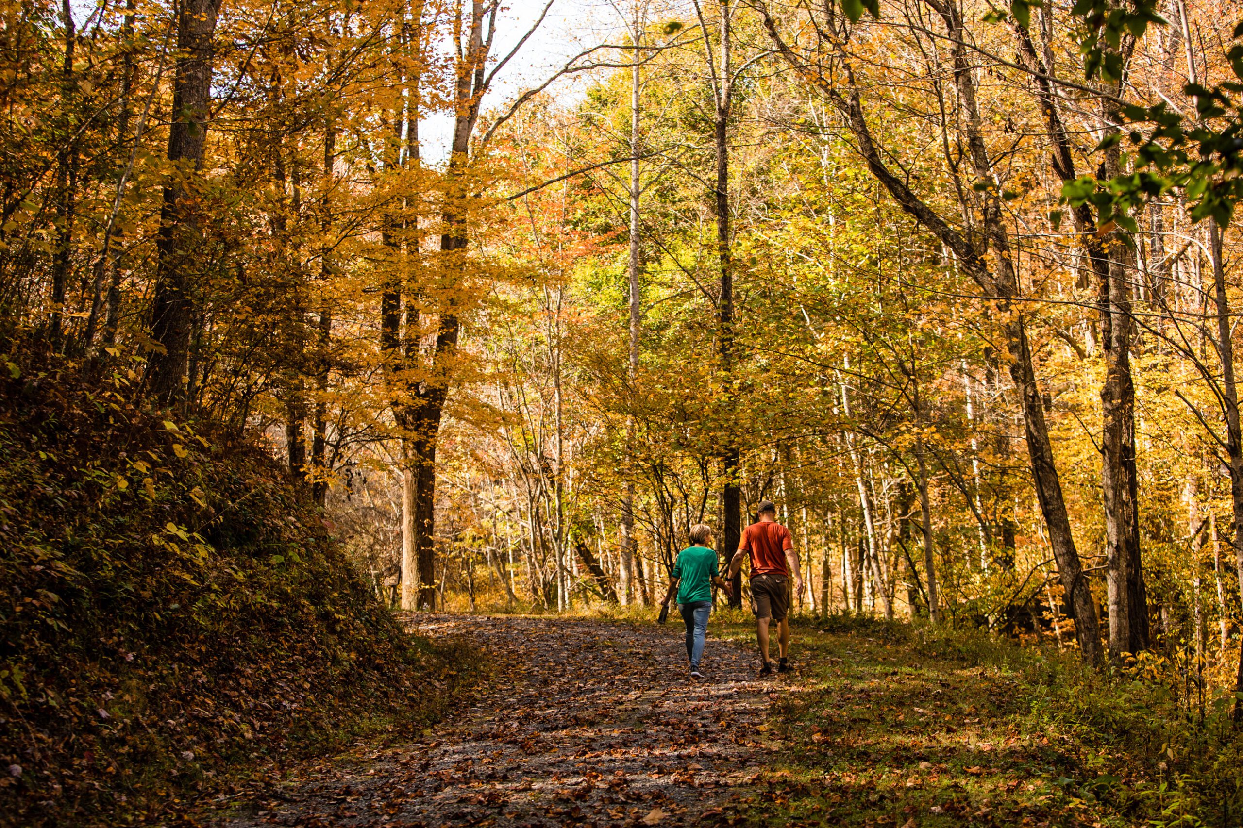 Where to Catch North Carolina’s Fall Leaves in All Their Glory